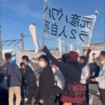 レス3番の画像1