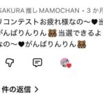 レス13番の画像3