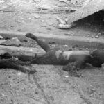 レス2番の画像1