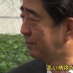 レス15番の画像1