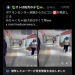 レス51番の画像1