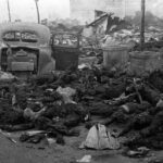 レス2番の画像2