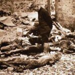 レス2番の画像8