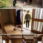 レス29番の画像1