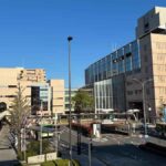 レス1番のリンク先のサムネイル画像