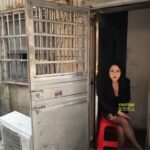 レス2番の画像2