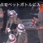 レス1番の画像2