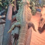 レス3番の画像1