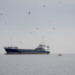 レス1番のリンク先のサムネイル画像