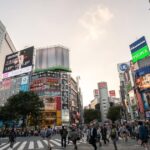 レス9番のリンク先のサムネイル画像
