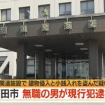 レス1番のリンク先のサムネイル画像
