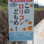 レス19番の画像1