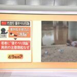 レス1番のリンク先のサムネイル画像