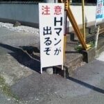 レス21番の画像1
