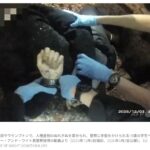 レス1番の画像2