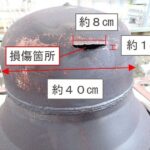 レス1番のリンク先のサムネイル画像