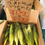 レス16番の画像1