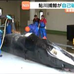 レス1番のリンク先のサムネイル画像
