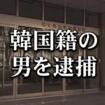 レス1番のリンク先のサムネイル画像
