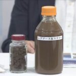 レス1番のリンク先のサムネイル画像