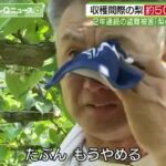 レス4番のリンク先のサムネイル画像