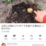 レス41番の画像1