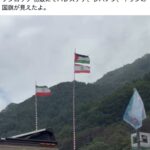 レス43番の画像1