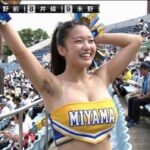 レス45番の画像1