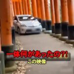 レス3番のリンク先のサムネイル画像