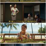 レス13番の画像1