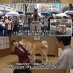 レス7番の画像1