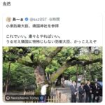 レス1番の画像3