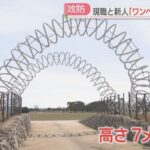 レス6番の画像1