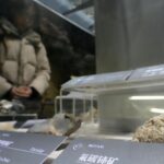 レス85番のリンク先のサムネイル画像