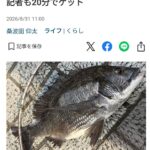 レス1番の画像1