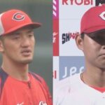 レス2番のリンク先のサムネイル画像