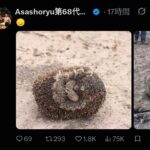 レス13番の画像1