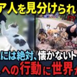 レス35番の画像1